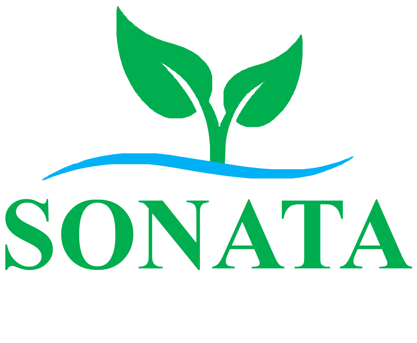 Sonata Agri International Limited