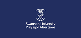 Engineering of Materials: Full-Funded TATA Steel and EPSRC iCASE PhD Scholarship: Swansea College.