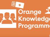 Orange Knowledge Program Netherlands