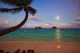 Hawaiian Island Dreams