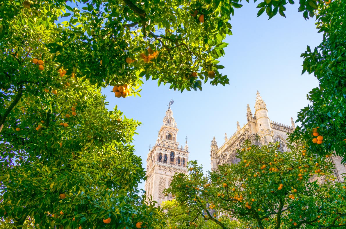 Seville Andalusia | The City of Flamenco