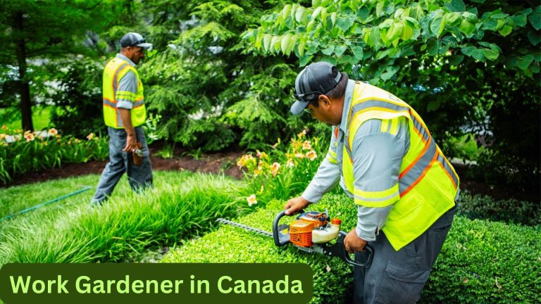 Work as Gardener in Canada | Salary - $20 - $50 per Hour