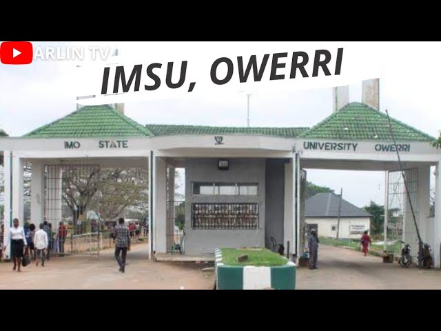 Vice Chancellor needed at Imo State University