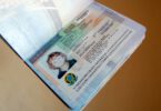 Transit Visa to Brazil | How to Apply, Cost & Requirements